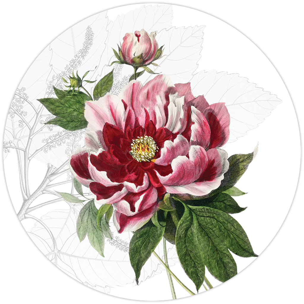 Set of 2 coasters Dafne wood cork - The Napking