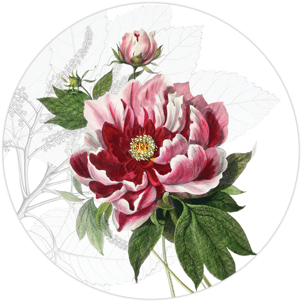 Dafne set of 2 coasters in wood and cork, 100% Made in Italy
