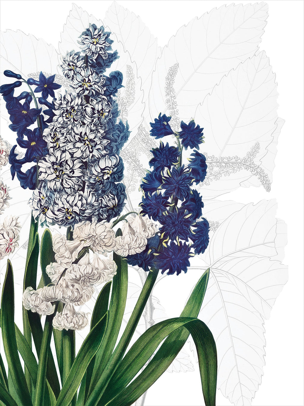 Kitchen Towels Dafne 100% Made in Italy The Napking