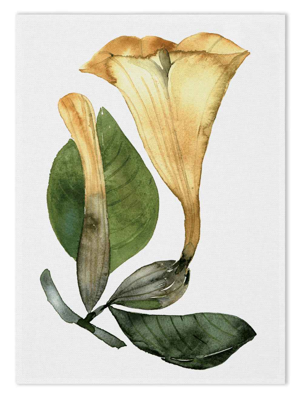 Strofinacci da Cucina «Datura», 100% Made in Italy