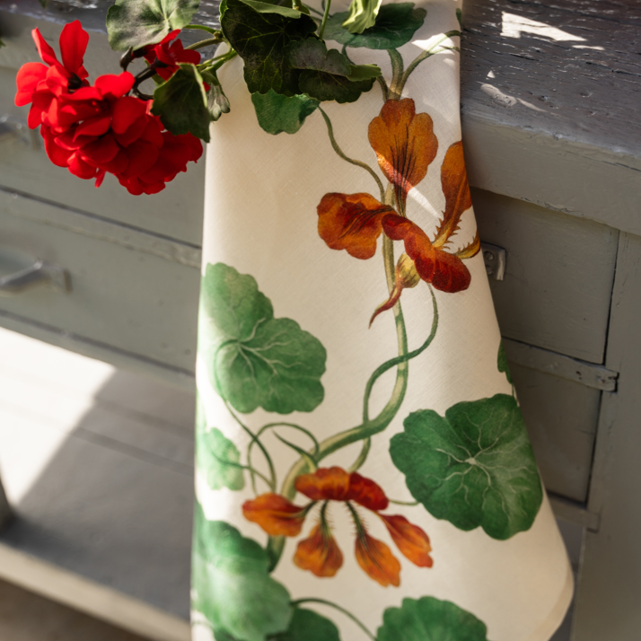 Kitchen Towels «Edward», 100% Made in Italy