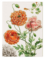Kitchen Towels «Edward», 100% Made in Italy