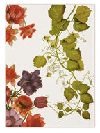 Kitchen Towels «Eidos», 100% Made in Italy The Napking