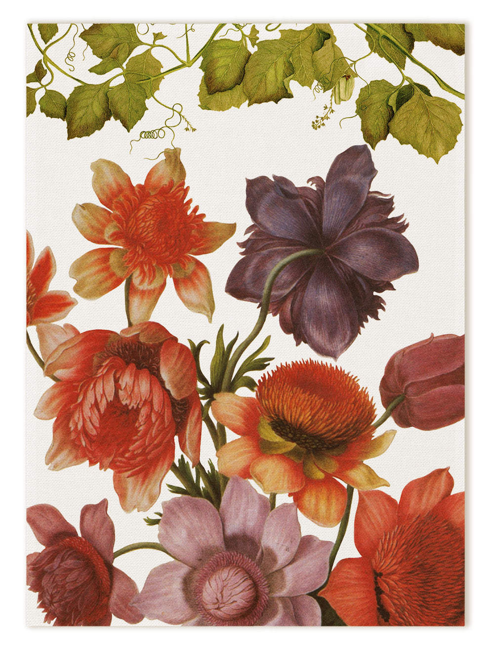 Kitchen Towels «Eidos», 100% Made in Italy The Napking