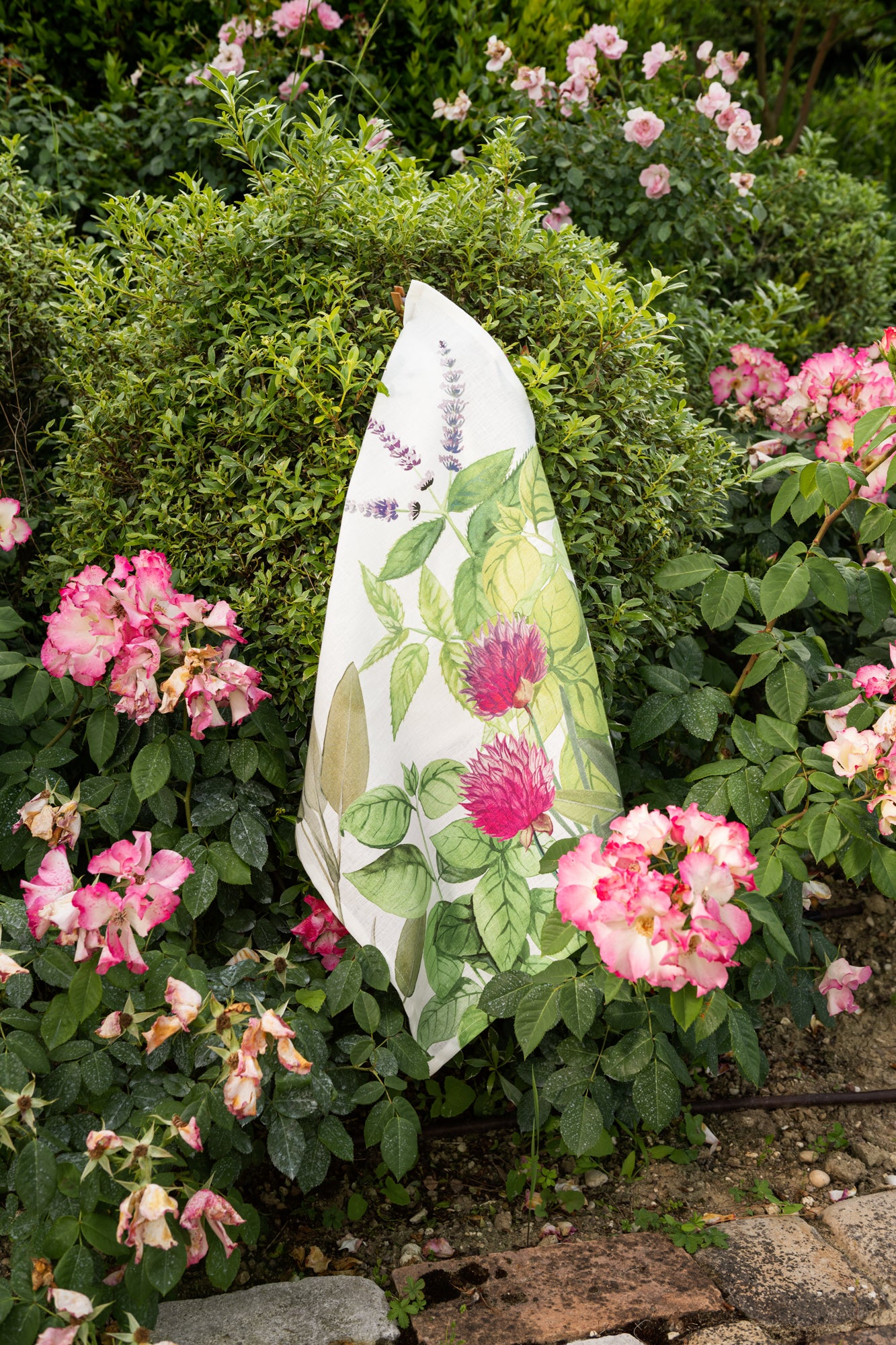 Kitchen Towels «Épices», 100% Made in Italy