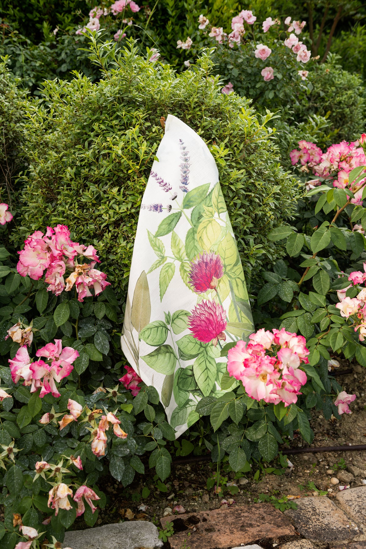 Kitchen Towels «Épices», 100% Made in Italy