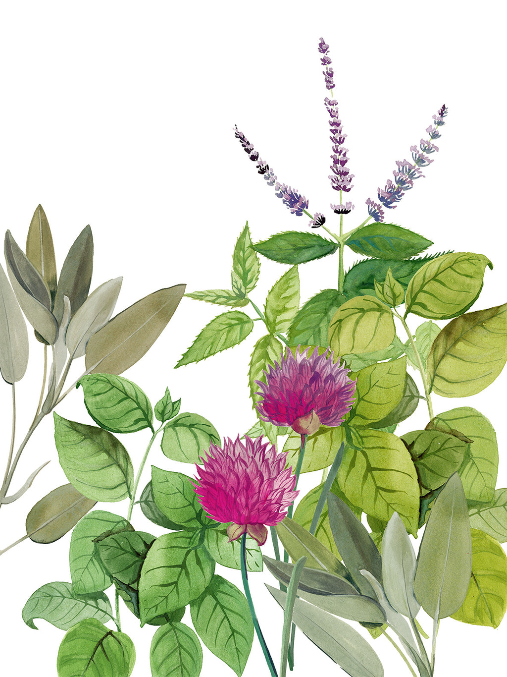 Kitchen Towels «Épices», 100% Made in Italy