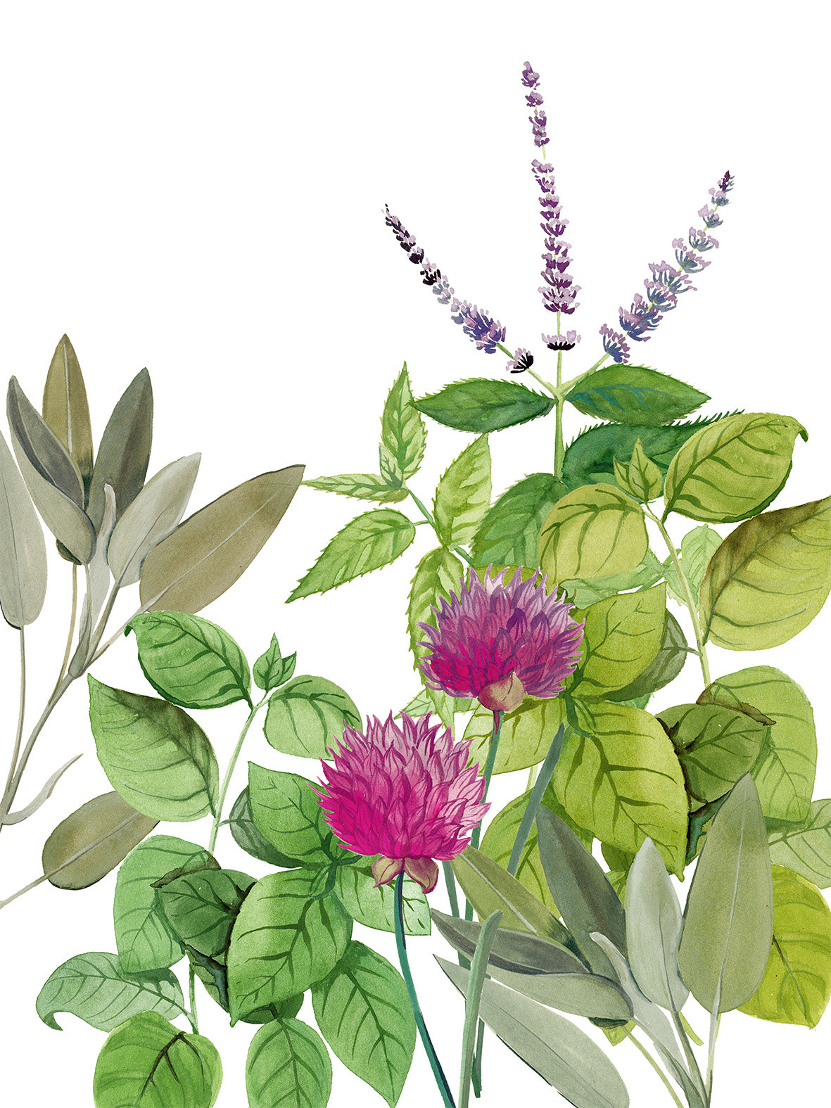 Kitchen Towels «Épices», 100% Made in Italy