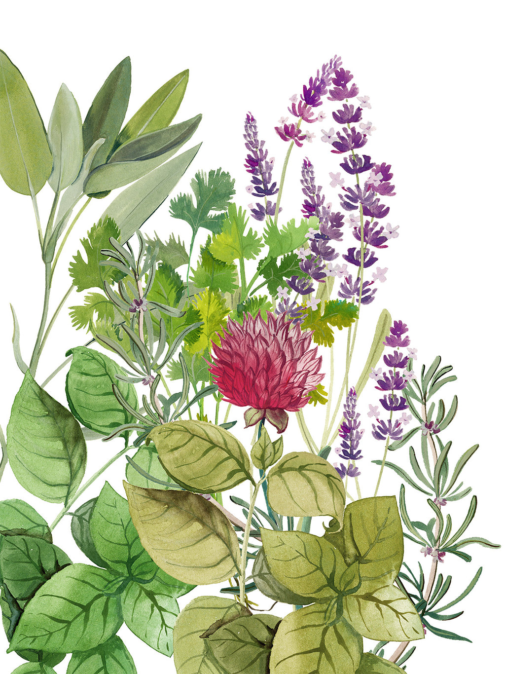 Kitchen Towels «Épices», 100% Made in Italy