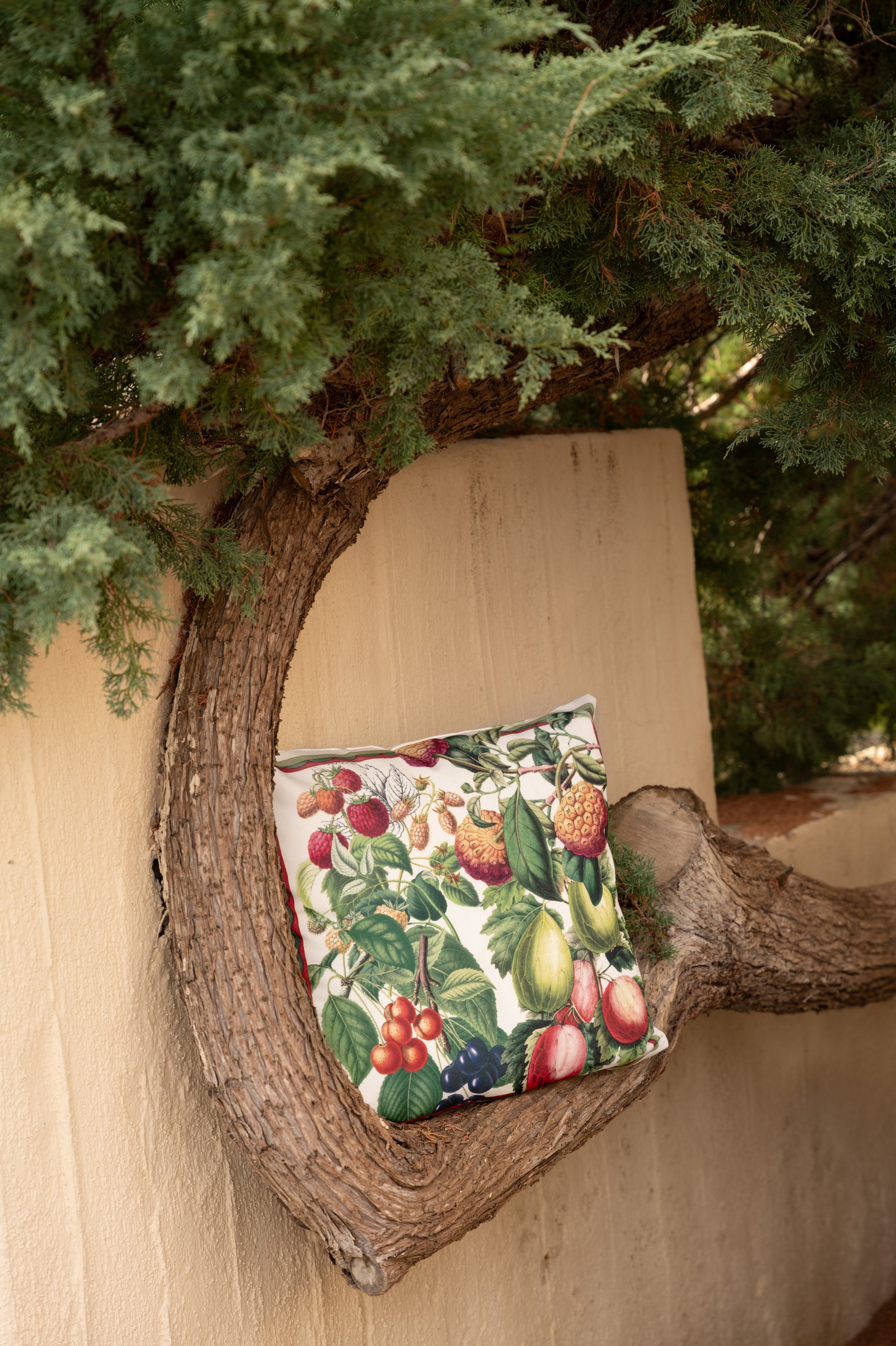 Cushion Canvas Exotica, 100% Made in Italy