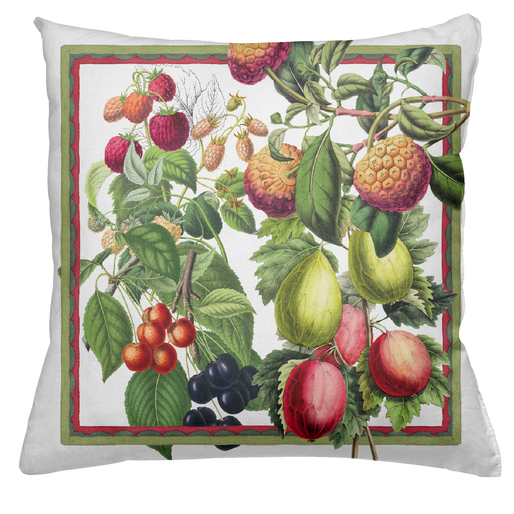 Cushion Canvas Exotica, 100% Made in Italy