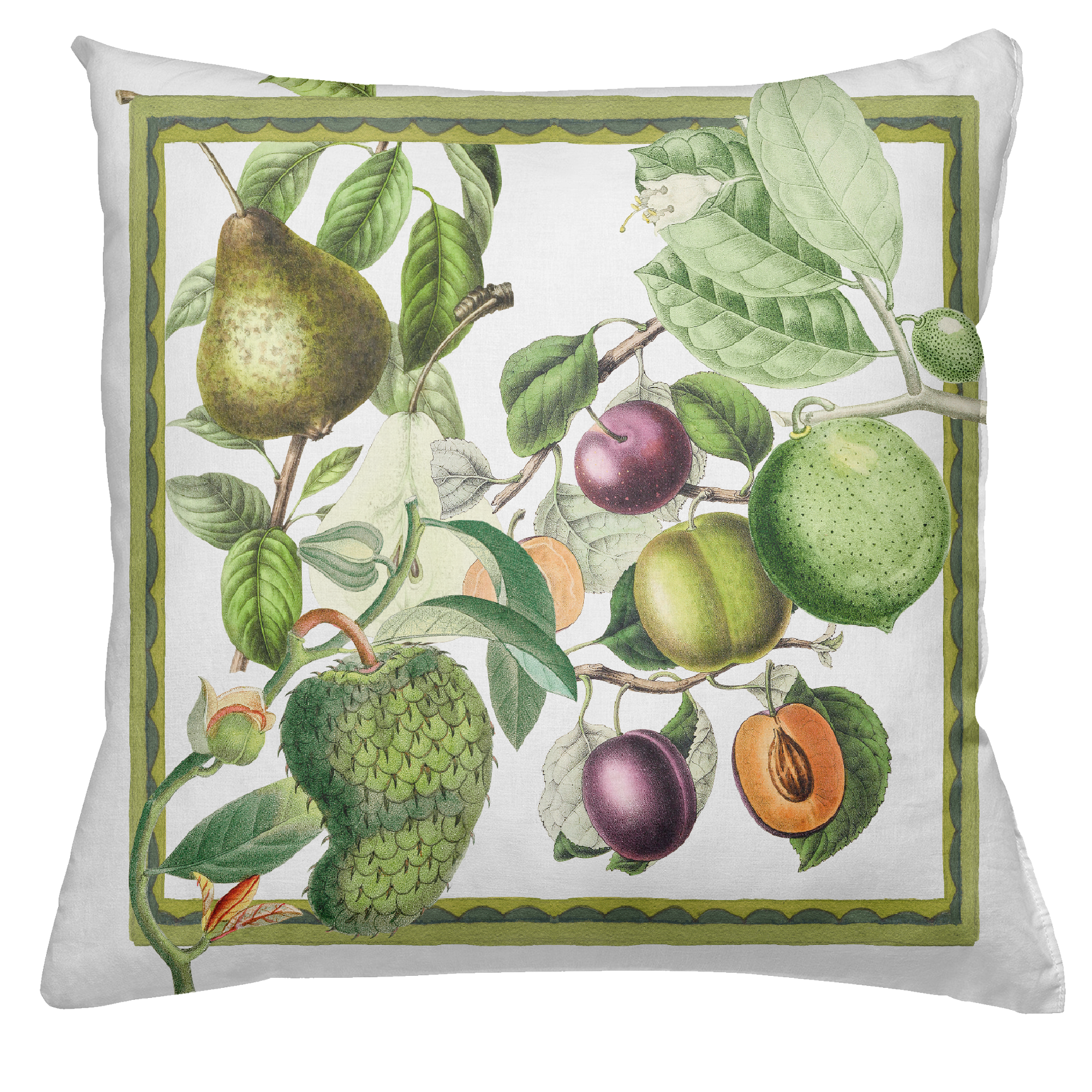 Cushion Canvas Exotica, 100% Made in Italy