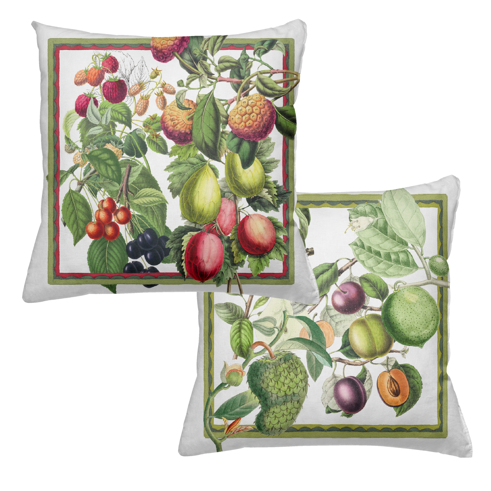 Cushion Canvas Exotica, 100% Made in Italy