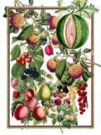 Asciugamani da cucina Exotica, misto lino