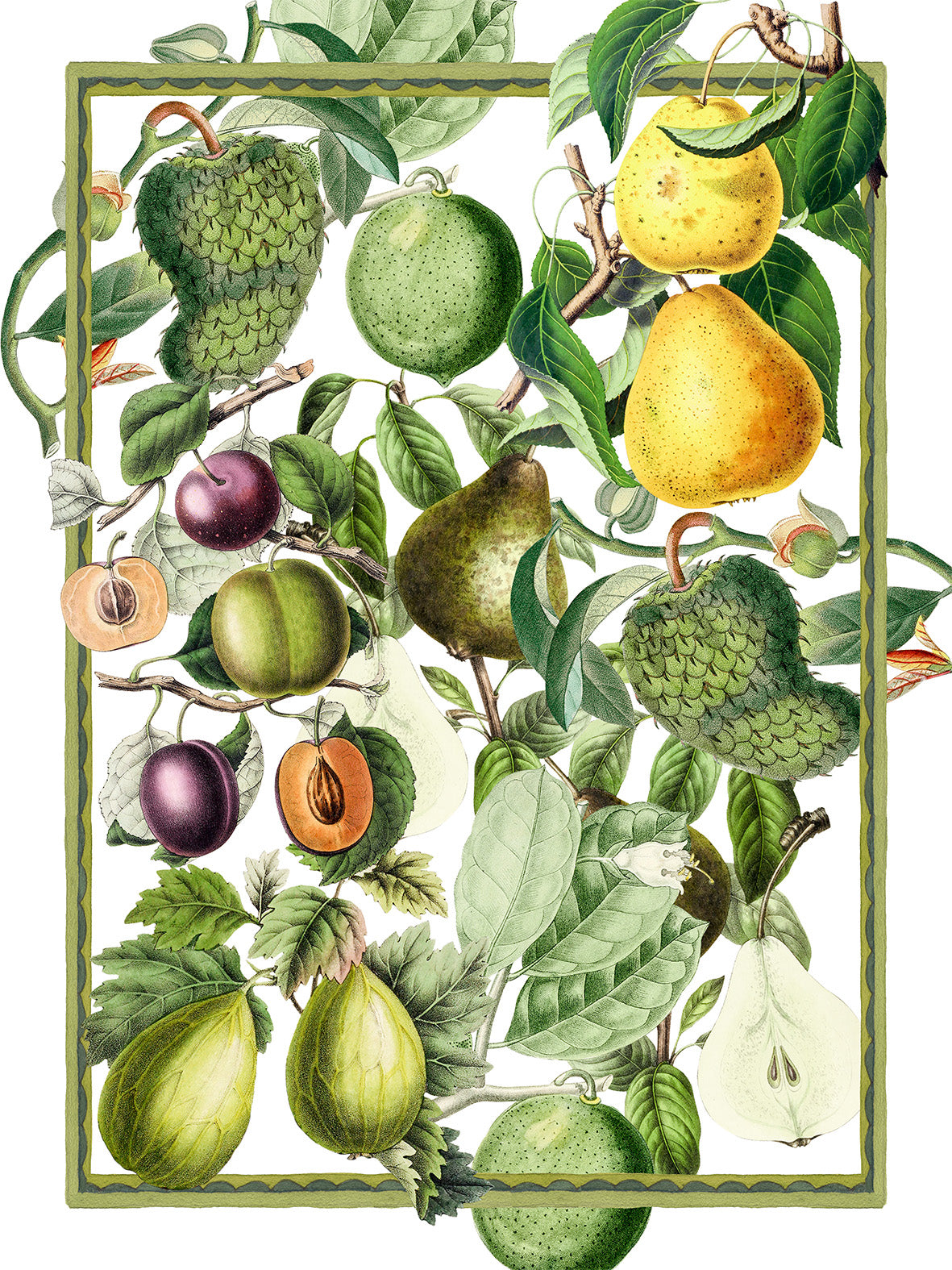 Kitchen Towels Exotica, Mixed Linen