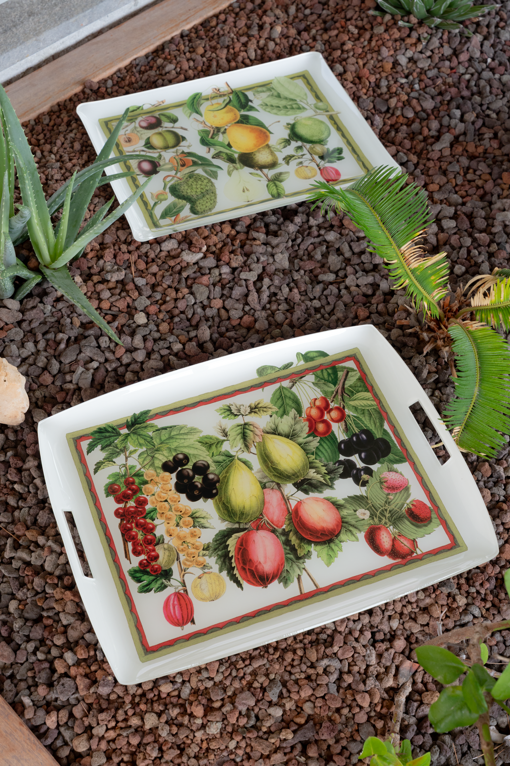 Tray Exotica