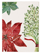 Kitchen Towels «Felix», 100% Made in Italy