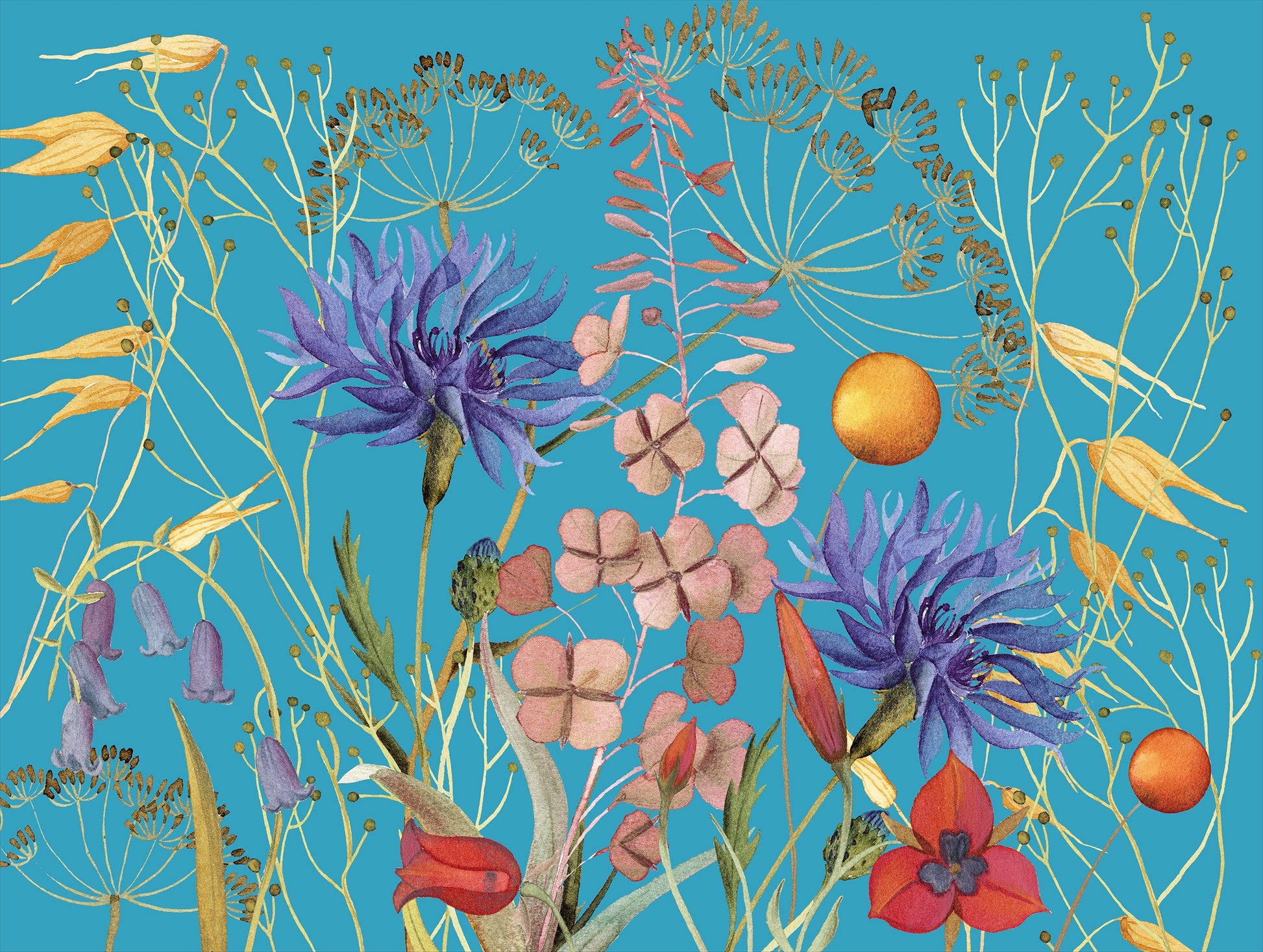 Set of 2 rectangular hardboard placemats «Fiordaliso», 100% Made in Italy