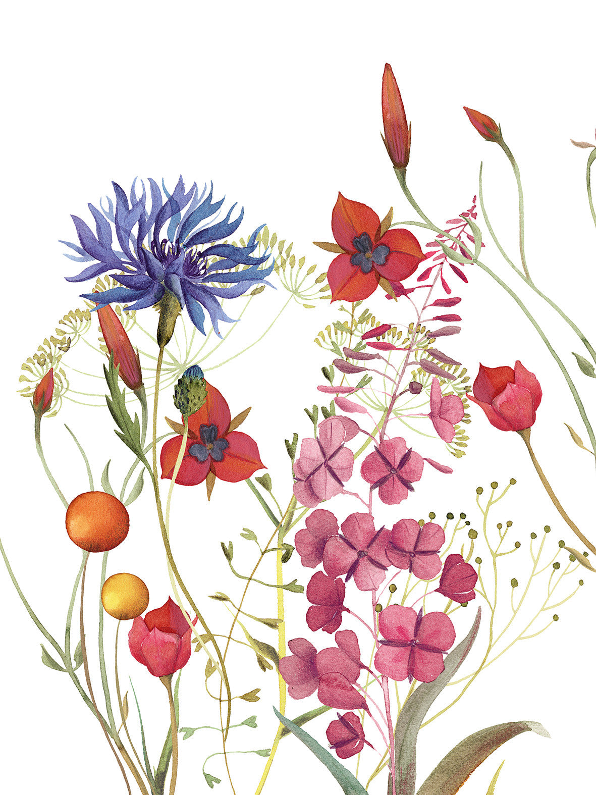 Kitchen Towels «Fiordaliso», 100% Made in Italy - The Napking