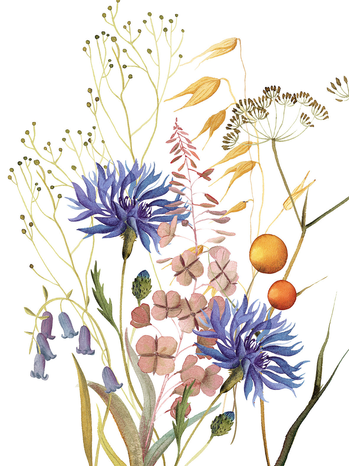 Strofinacci da Cucina «Fiordaliso», 100% Made in Italy