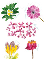 Asciugamani da cucina Flora Rosa, lino di qualità premium