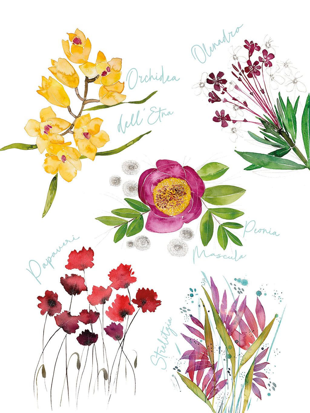 Kitchen Towels Flora Rosa, Premium Quality Linen