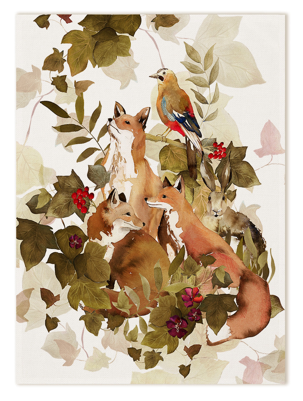 Kitchen Towels «Foxy», 100% Made in Italy The Napking