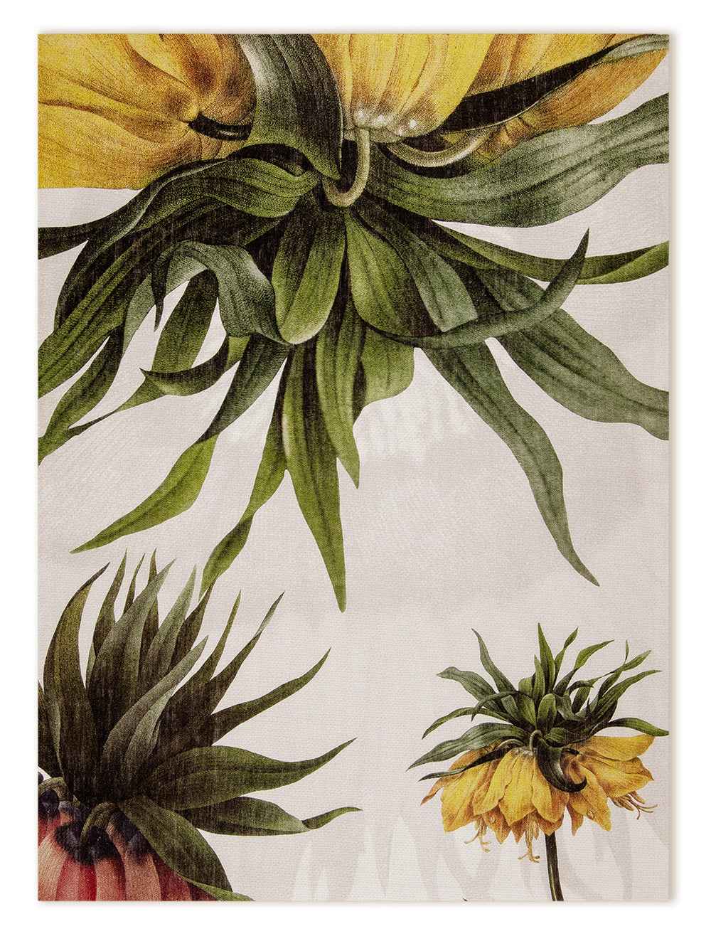 Kitchen Towels «Fritillaria», 100% Made in Italy