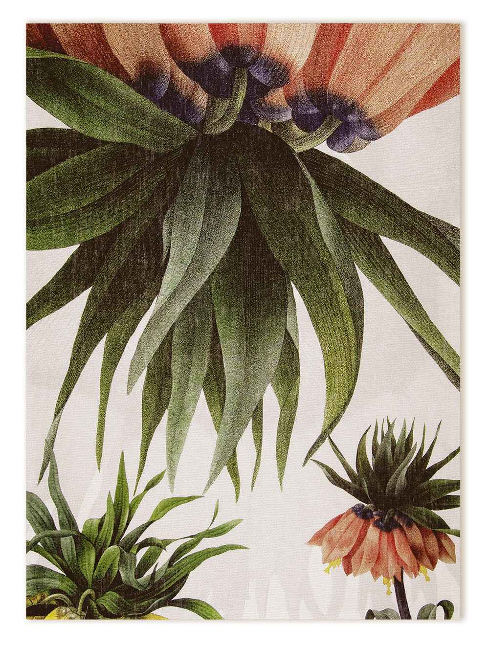 Kitchen Towels «Fritillaria», 100% Made in Italy