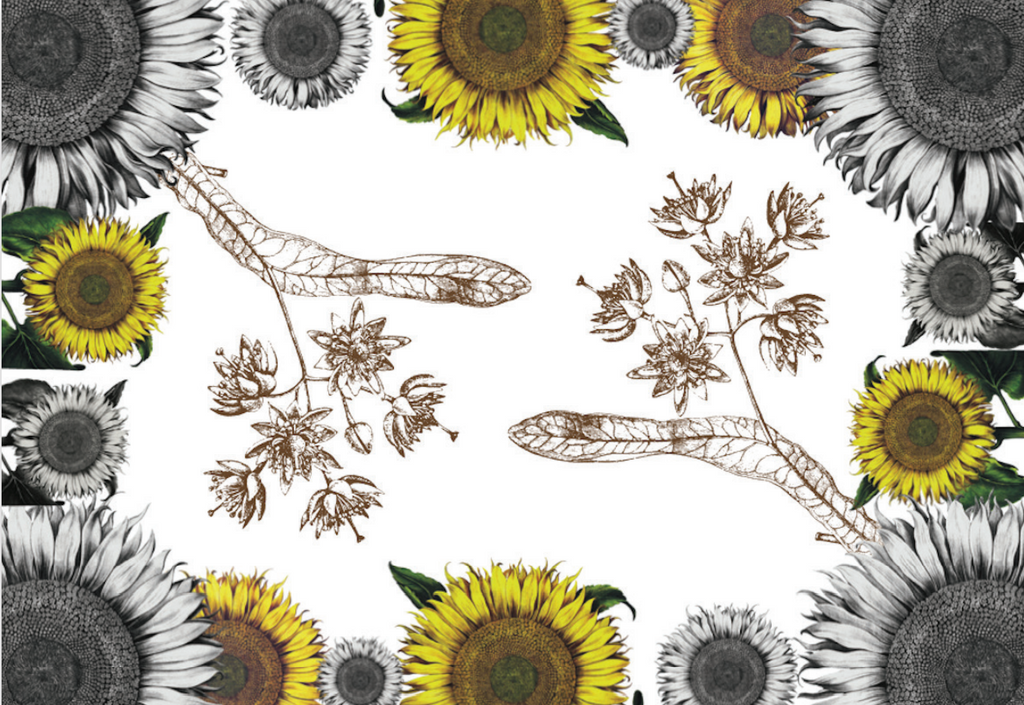 Tablecloths «Helianthus» 100% Made in Italy