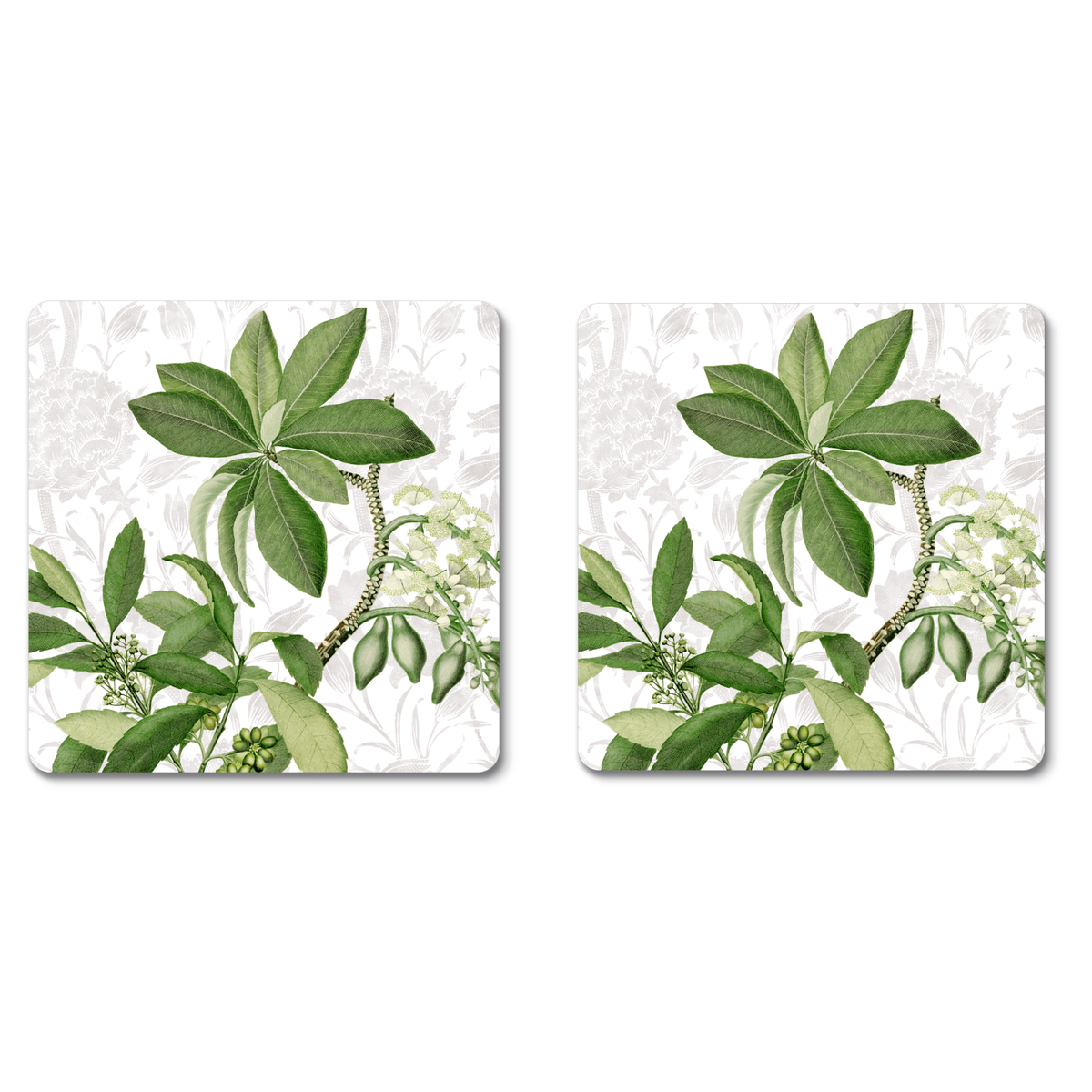 Set di 2 sottobicchieri Hedycarya bianchi