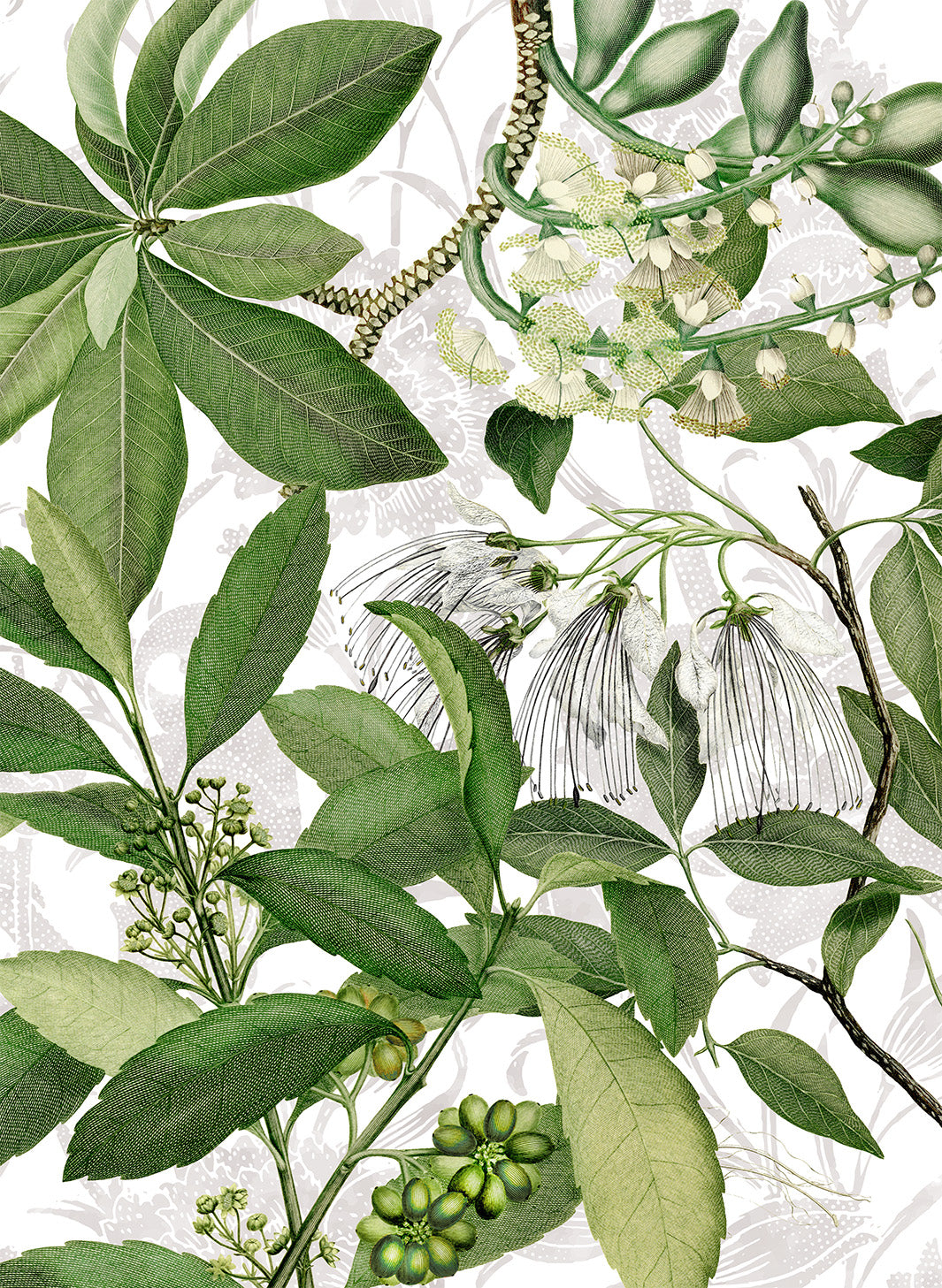 Hedycarya kitchen towels in Premium Linen with digitally printed design, white variant, detail view
