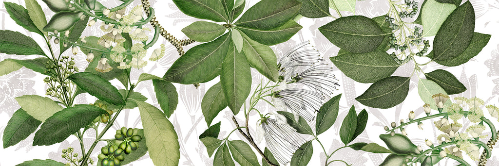 Hedycarya Runner Premium Linen with botanical print, white variant, 50x150 cm