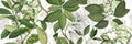 Hedycarya Runner Premium Linen with botanical print, white variant, 50x150 cm