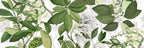 Hedycarya Runner Premium Linen with botanical print, white variant, 50x150 cm
