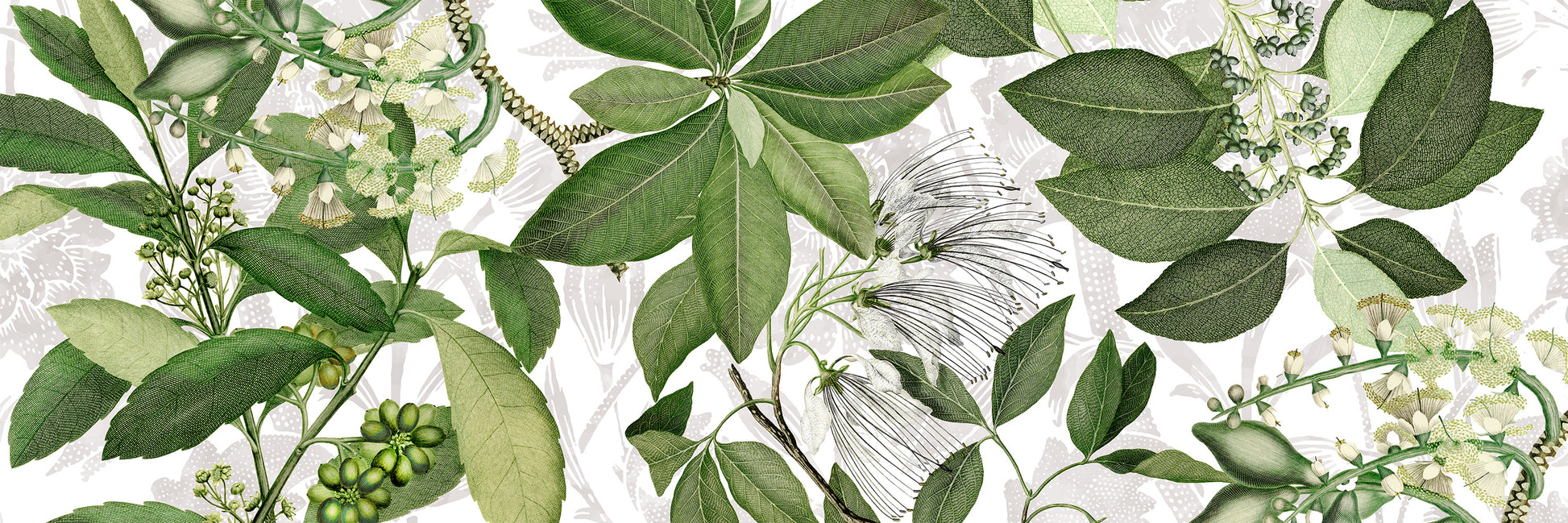 Hedycarya Runner Premium Linen with botanical print, white variant, 50x150 cm