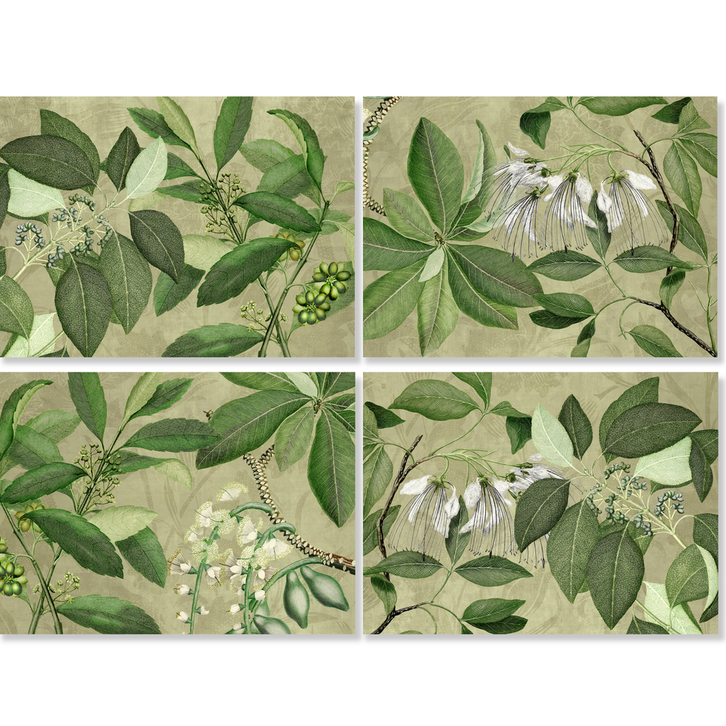 Hedycarya Set of 4 Placemats Premium Linen