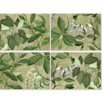 Hedycarya Set of 4 Placemats Premium Linen
