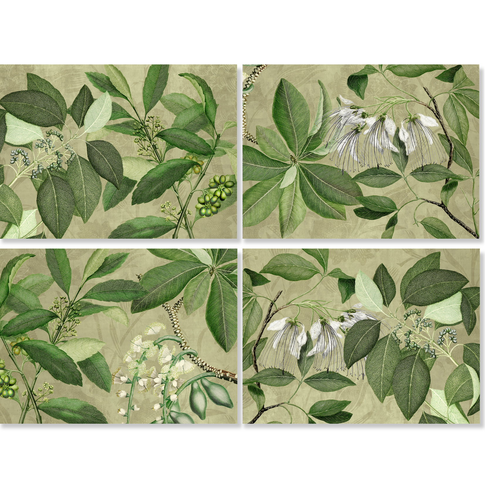 Hedycarya Set of 4 Placemats Premium Linen