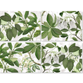 Hedycarya Set of 4 Placemats Premium Linen