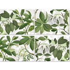 Hedycarya Set of 4 Placemats Premium Linen