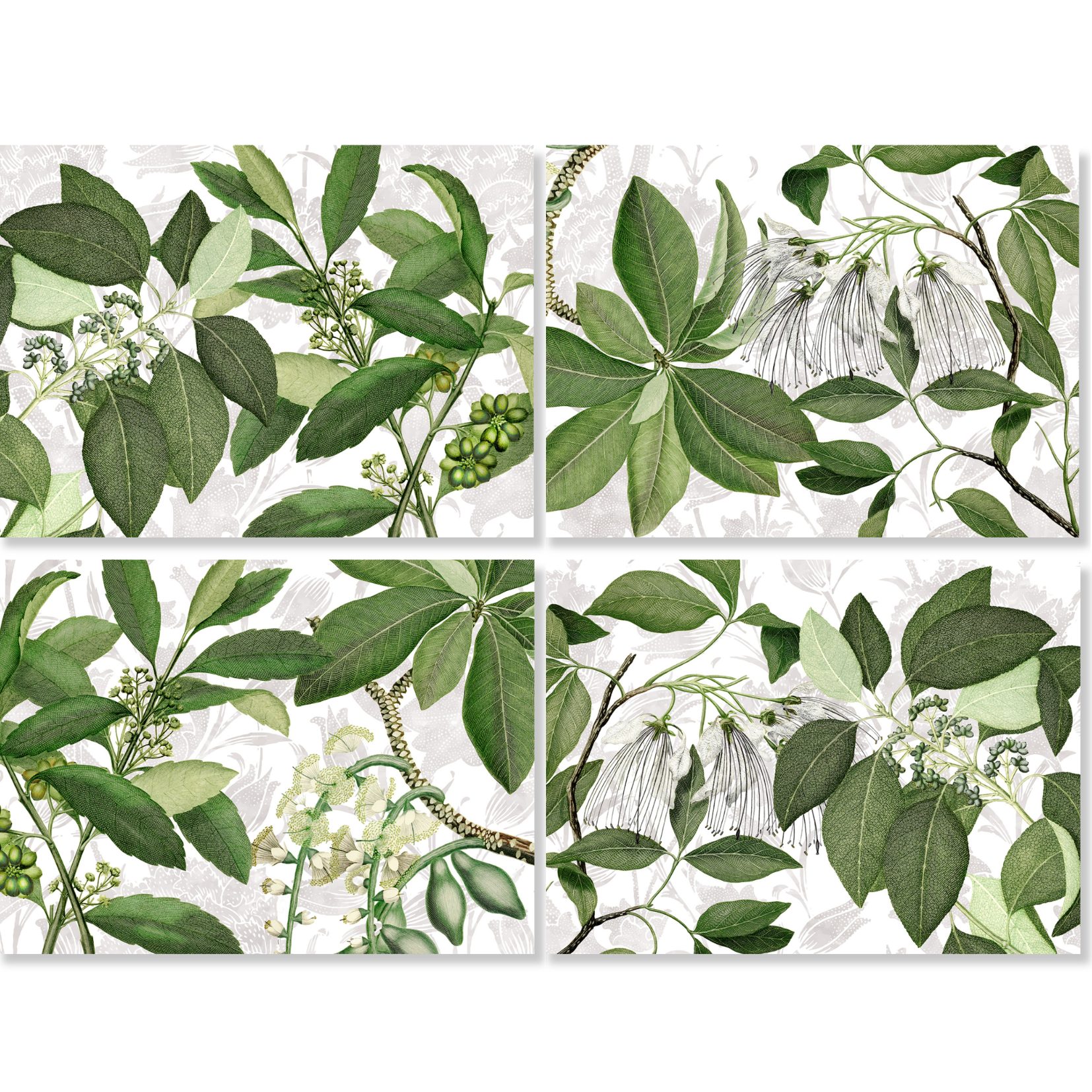 Hedycarya Set of 4 Placemats Premium Linen