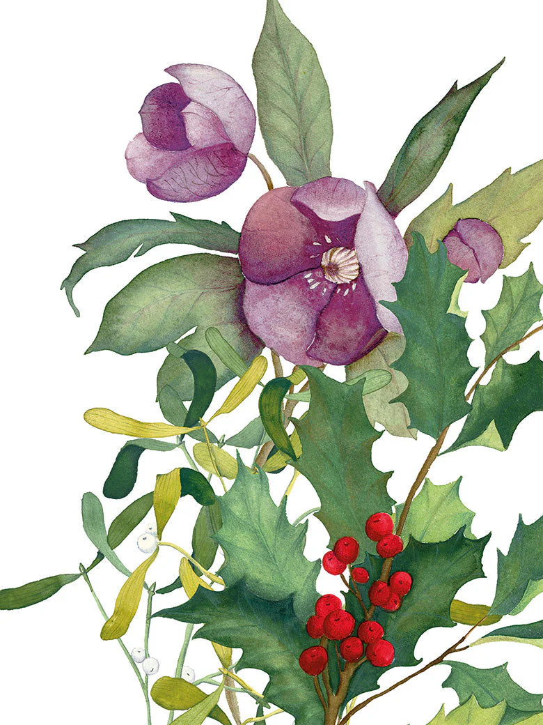 Strofinacci da cucina Helleborus 100% Made in Italy