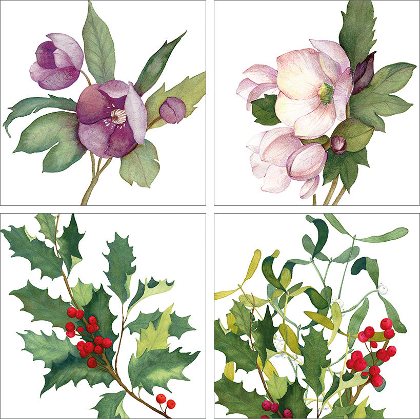 Set Of 4 Napkins Helleborus100% Made in Italy The Napking
