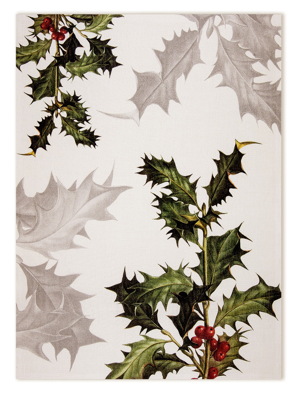 Kitchen Towels «Ilex», 100% Made in Italy