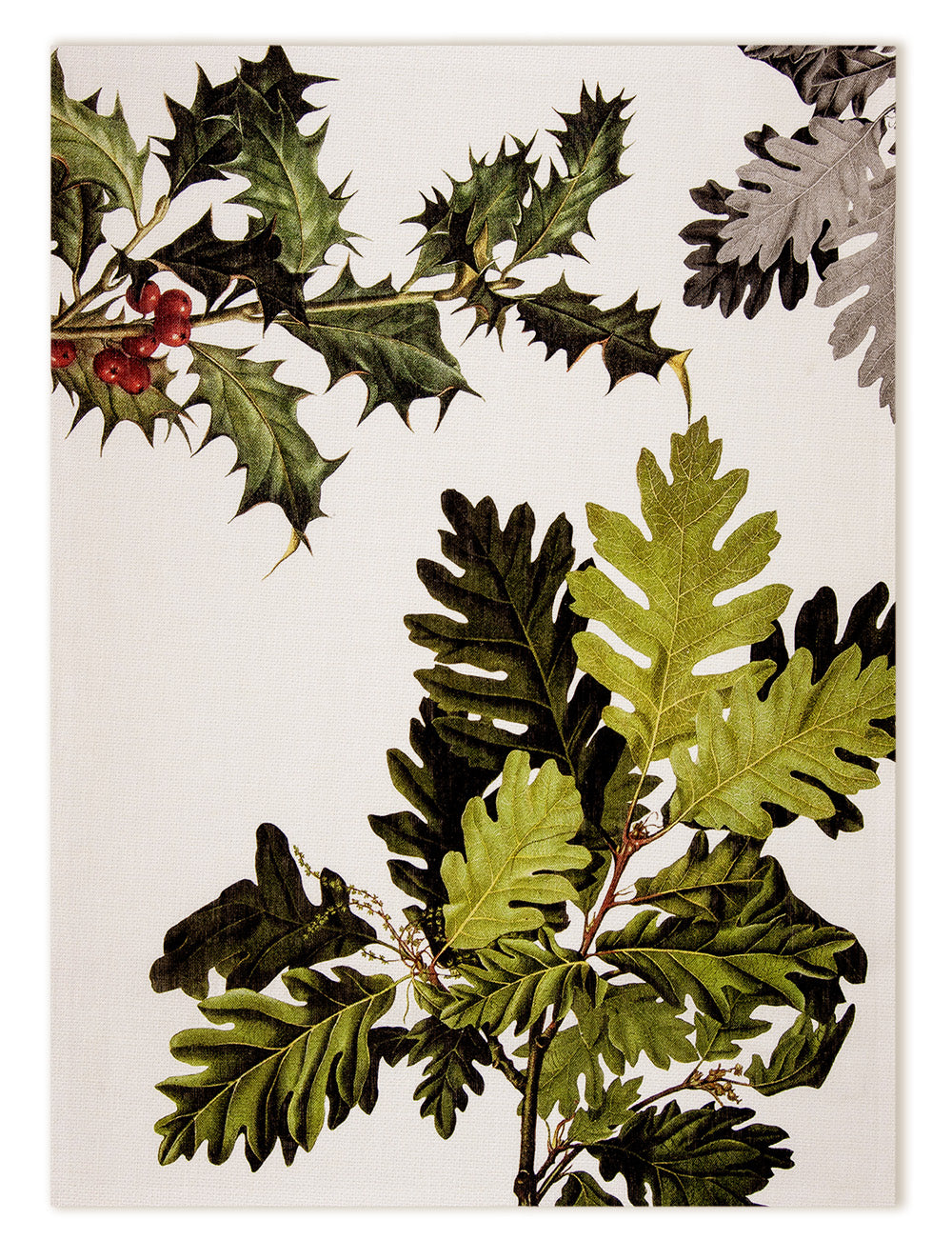 Kitchen Towels «Ilex», 100% Made in Italy