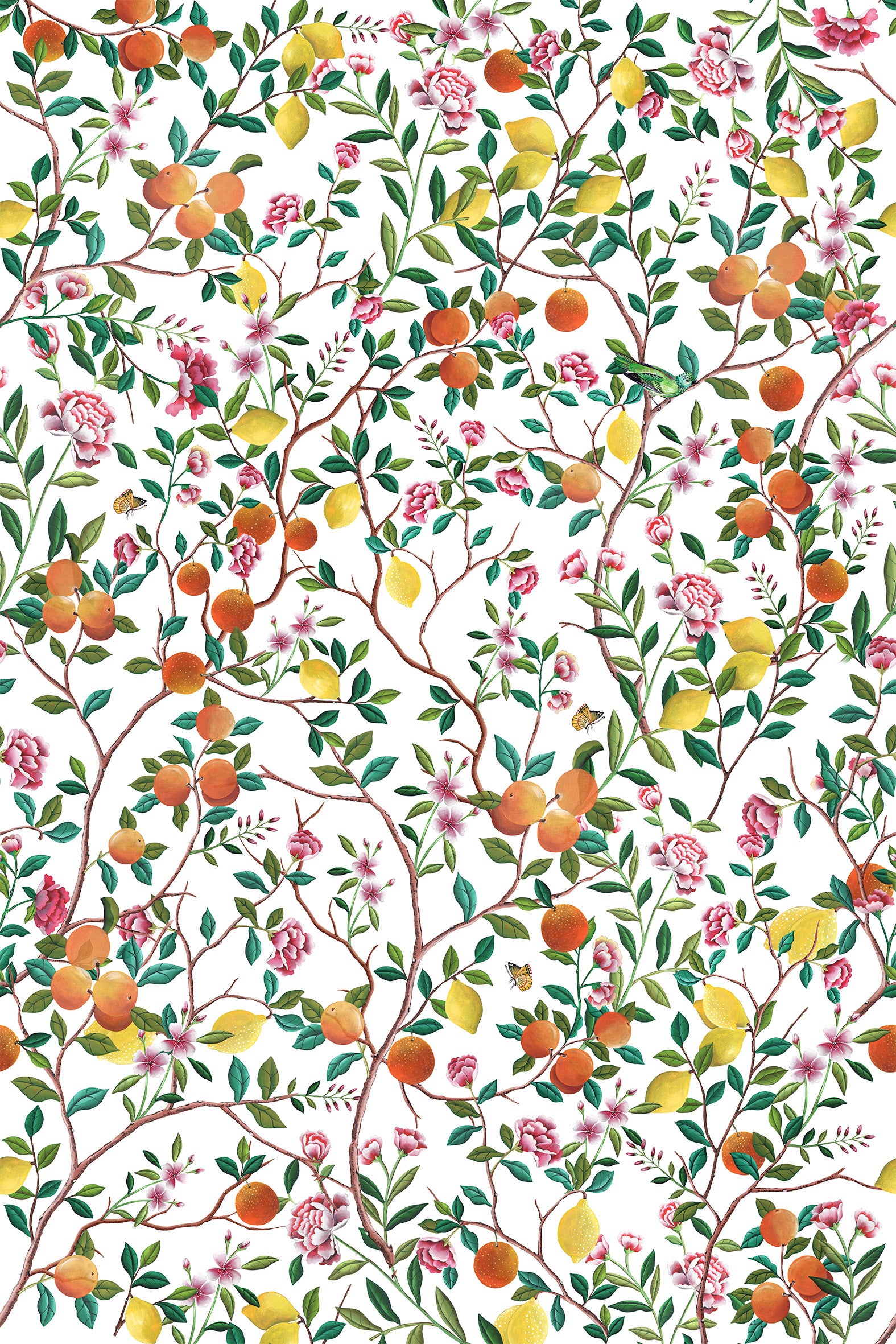 Les Agrumes Print Fabric (By the Meter)