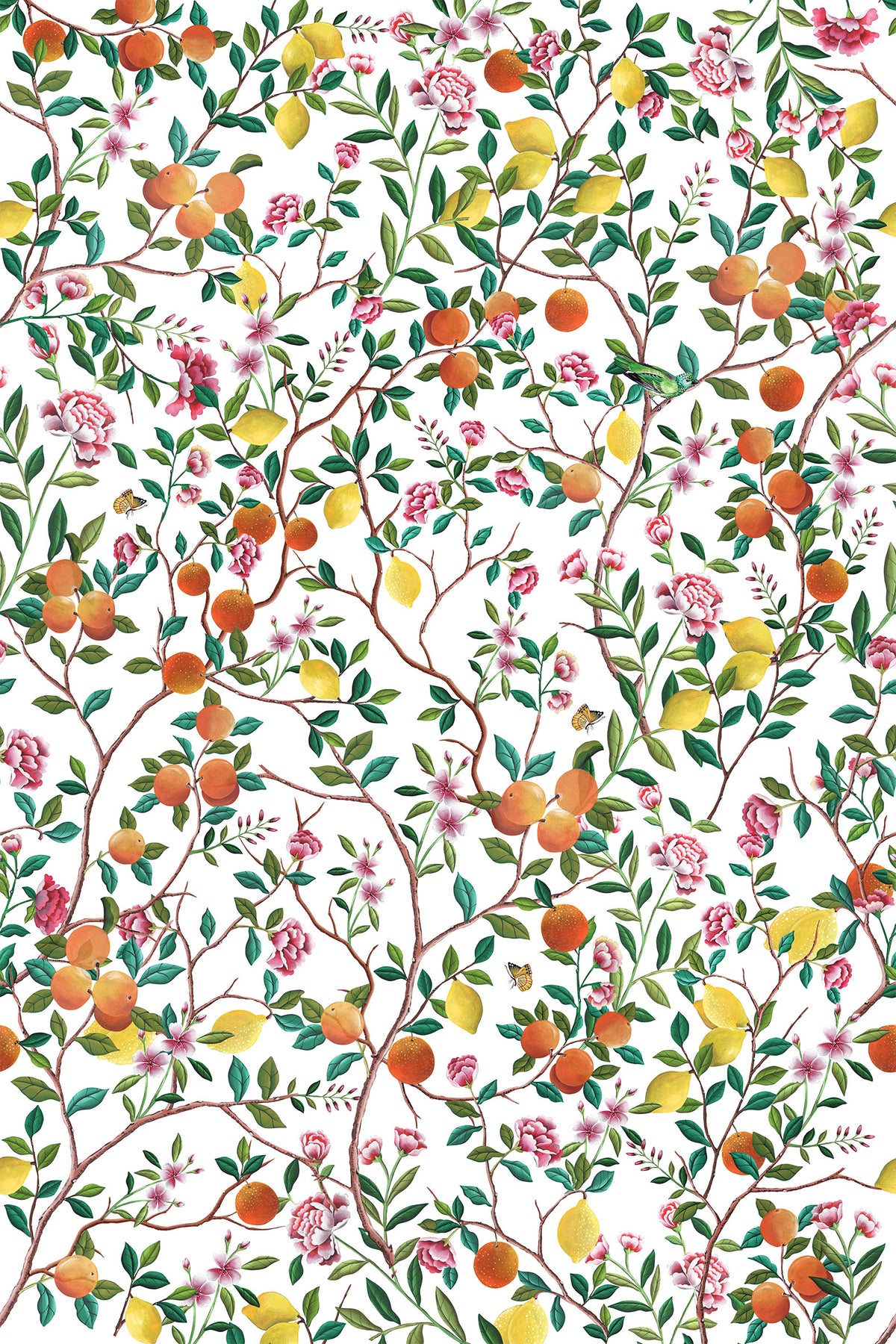 Tissu imprimé Les Agrumes (au mètre)