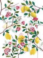 Kitchen Towels Les Agrumes, Premium Quality Linen