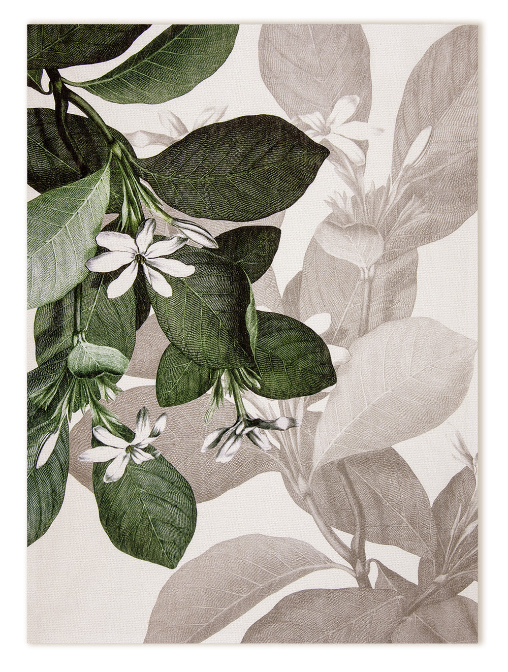 Kitchen Towels «Knighthia», 100% Made in Italy